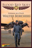 Ace Pilot: Walter Borchers